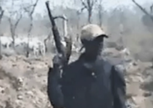 Berger peul dans le centre-nord du Nigeria