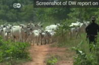 Éleveur de bétail peul dans le sud du Nigeria.