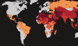 Un rapport révèle que 100 millions de chrétiens dans le monde n’ont pas accès à une Bible : « Une famine moderne de la Parole »