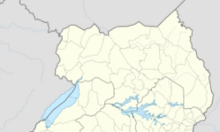 Un musulman en Ouganda tue son fils adulte pour avoir accepté le Christ